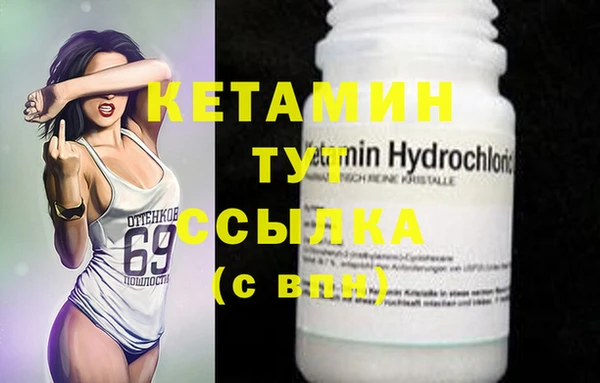 стаф Белая Холуница