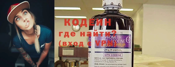 хмурый Михайловск