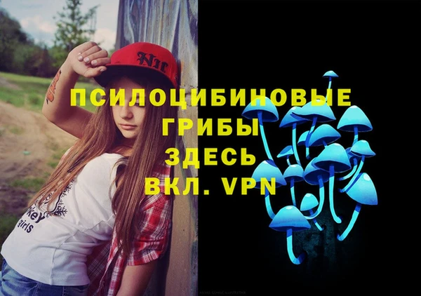 хмурый Михайловск