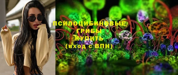 хмурый Михайловск